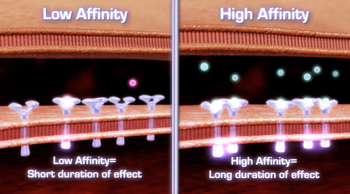 A low-affinity agonist bond